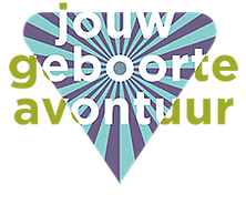 LOGO_JouwGeboorteAvontuurNIEUWWebsite_pn